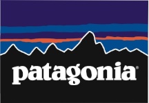 patagonia logo